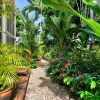 Отель Port Douglas Apartments, фото 43