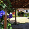 Отель Pousada Ecologica das Bromelias, фото 47