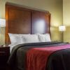 Отель Comfort Inn & Suites near Kino Sports Complex, фото 7