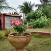 Отель Casa Vermelha Moitas-Icaraizinho de Amontada, фото 5