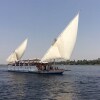 Отель Discover the River Nile and Have a Grand Vacational Experience, фото 16