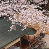 Отель Izunagaoka Onsen Ebisuya, фото 16