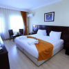 Отель Eser Diamond Hotel & Convention Center İstanbul, фото 4