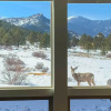 Отель Estes Park Mountain-view Retreat: 3 Miles to Rmnp!, фото 20