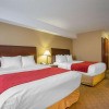 Отель Comfort Inn & Suites, фото 7