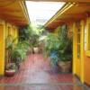 Отель Hostal Zipolite Melchor Ocampo, фото 1