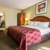 Отель Econo Lodge Inn And Suites Near Florida Mall, фото 7