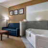 Отель Comfort Suites Cincinnati Airport, фото 4