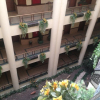 Отель Shedwan Garden Hotel, фото 8