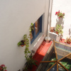 Отель Hostal San Antonio, фото 24