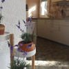 Отель Casa Llurgo, фото 6