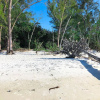Отель Longboat Key Cedars Beach House-pet Friendly-2 Minute To The Beach, фото 24