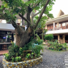 Отель St Vincent Cottages Dee and Timmy Side, фото 23