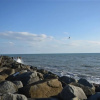 Отель Seacliff, фото 18