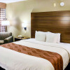 Отель Quality Inn And Suites, фото 30