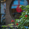 Отель Yehan Hostel, фото 9