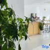 Отель Yulin Xiaozhu Homestay (Shanghai Safari Park), фото 3