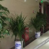 Отель Jishou Xiangxi Yist International Hotel, фото 1