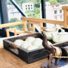 Отель Gongxingshe Yushe Homestay, фото 4
