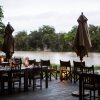 Отель Simbavati River Lodge & Hilltop Lodge, фото 16