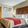Отель Comfort Inn & Suites Near Pocono Mountains, фото 3