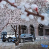 Отель Shuangcheng Hotel, фото 18