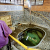 Отель Namari Onsen Fujisan Ryokan, фото 5