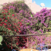 Отель Hôtel Riad le Lieu, фото 14