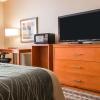 Отель Comfort Inn Metro Airport, фото 7