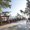 Отель Tongyeong Honey Spa Pension, фото 25