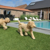 Отель Countryside Cottage With Shared Pool, фото 6