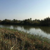 Отель Salgados Vila das Lagoas, фото 40