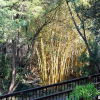 Отель Lost Trail Bed and Breakfast, фото 37