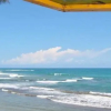 Отель Cabarete Beach Hostel, фото 9