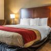 Отель Comfort Inn East, фото 43