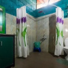 Отель Elephant Country Homestay, фото 10