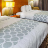 Отель Econo Lodge Inn & Suites Hardeeville-I-95, фото 6