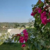 Отель Cream Cozy Getaway - 3 Pearls Pool Retreat, фото 16