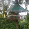 Отель Nature Observatorio Amazing Treehouse, фото 7