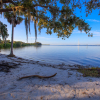 Отель Holiday Inn Express Hotel & Suites Tampa Northwest - Oldsmar, an IHG Hotel, фото 25