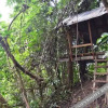 Отель Wichai's Jungle Home Stay, фото 19