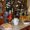 Отель Woodpeckers Bed & Breakfast, фото 13