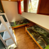 Отель Cozy Holiday Home in Uden with Private Garden, фото 3