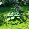 Отель John Henry Bed & Breakfast, фото 16