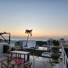 Отель Ocean and city view rooftop, apartment 2BR 101, фото 28