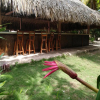 Отель Eco Hotel Las Palmeras, фото 26