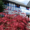 Отель Le Relais de Pommard, фото 13