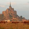 Отель Mercure Mont Saint Michel, фото 24