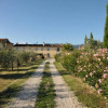 Отель Agriturismo San Rocco, фото 3