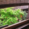 Отель Sanbounishinotouin-cho Machiya, фото 11